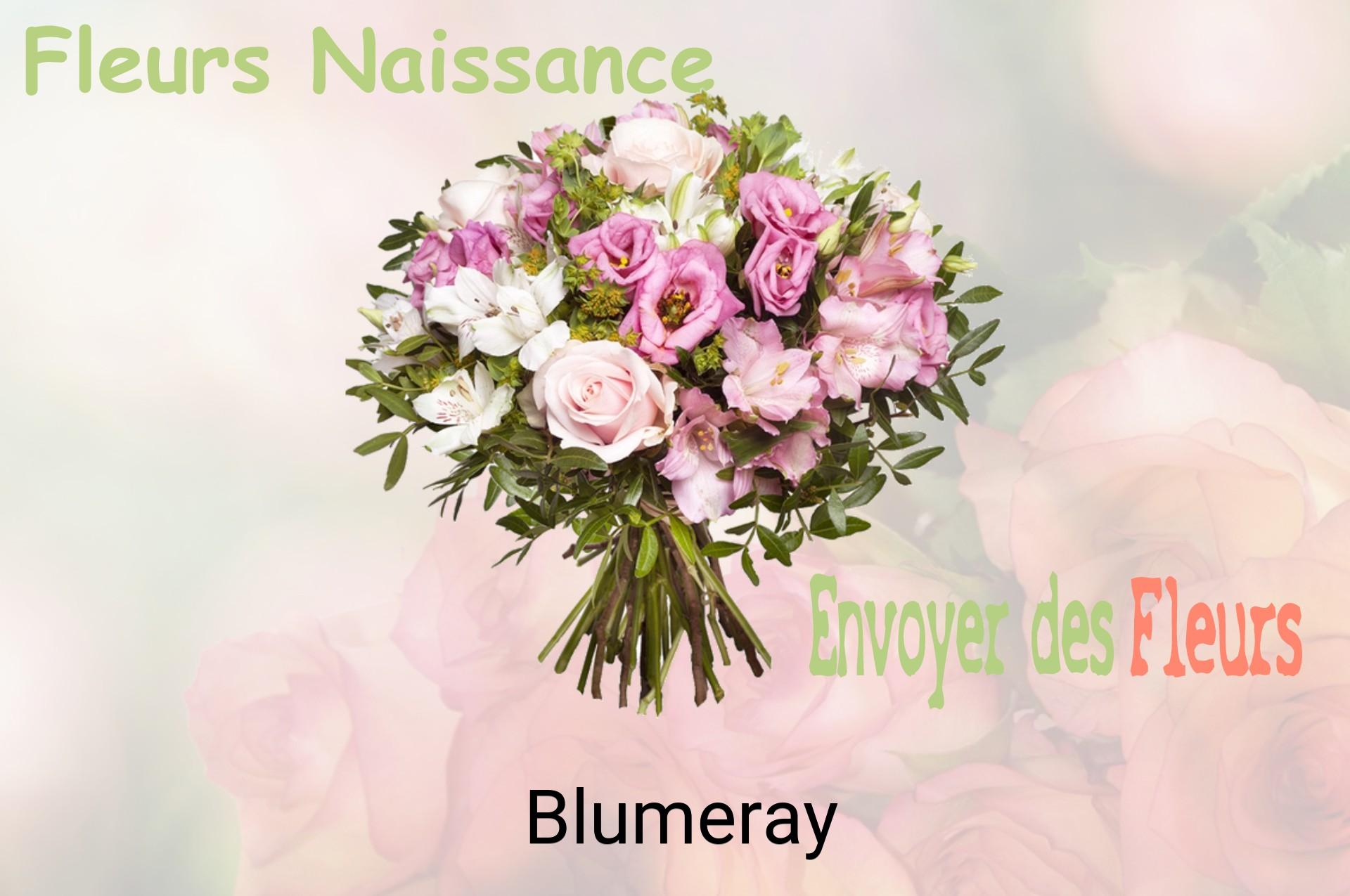 Bouquet de fleurs de naissance livré à Blumeray